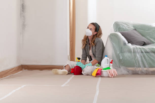 Reliable Mold Remediation contractor in Greenville, KY by WQB Mold Removal